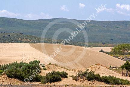 Sand dunes at St. Anthony, Idaho.