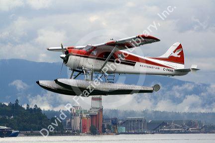 Seaplane flying at Port Vancouver in British Columbia, Canada.