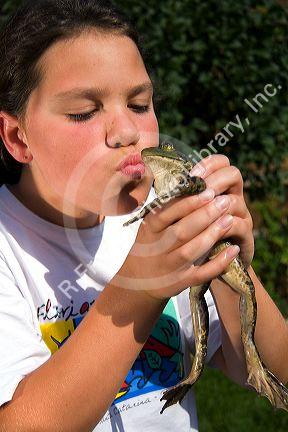 11 year old girl kissing a bullfrog in Boise, Idaho. MR