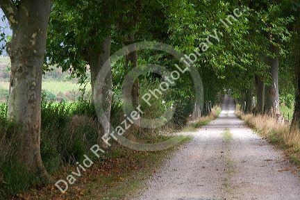 Rural dirt country road near the town of Solares, Cantabria, Spain.
