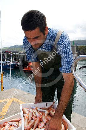 Commercial fisherman in the harbor at Llanes, Asturias, Spain.