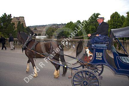 Horse drawn carriage taxi in the city of Bath, Somerset, England.