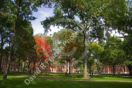 Harvard Yard at Harvard University in Cambridge, Greater Boston, Massachusetts, USA.