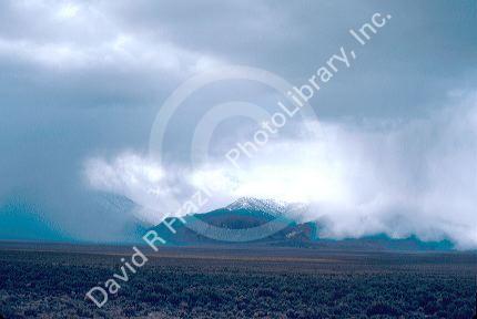 Snowstorm in the mountains of central Nevada.