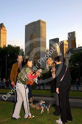 Dog owners socialize in Central Park, Manhattan, New York City, New York, USA.