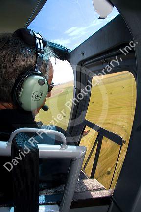 Helicopter pilot viewing alfalfa hay harvest in Jerome, Idaho, USA.