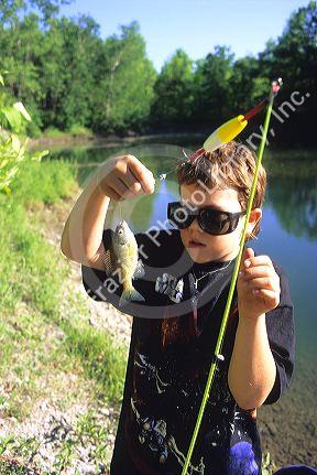 A young boy holding up the bluegill fish he caught.  MR
