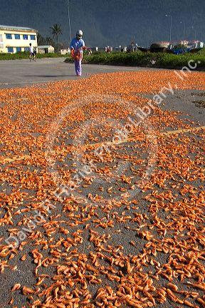 Shrimp being dried on a parking lot near the port city of Da Nang, Vietnam.