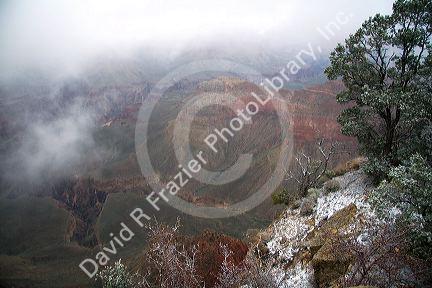 Snow storm at the South Rim of the Grand Canyon, Arizona, USA.