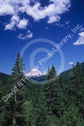 Mount Rainier in Washington.