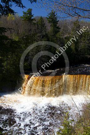 Upper Tahquamenon Falls on the Tahquamenon River in the eastern Upper Peninsula of Michigan, USA.