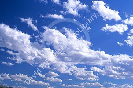 Cumulus clouds. 