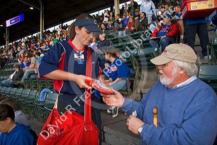 Female vendor selling peanuts during a Cubs baseball game at Wrigley Field in Chicago, Illinois, USA.
