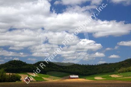 Red barns and farmland in Manitowoc County, Wisconsin, USA.