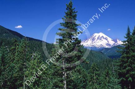 Mount Rainier in Washington.