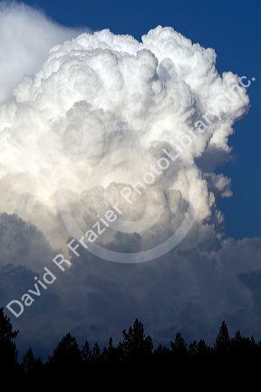 Cumulonimbus thunderstorm clouds form near Cascade, Idaho, USA.