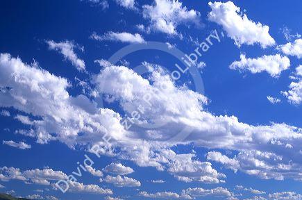 Cumulus clouds. 