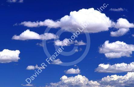 Cumulus clouds in a blue sky.