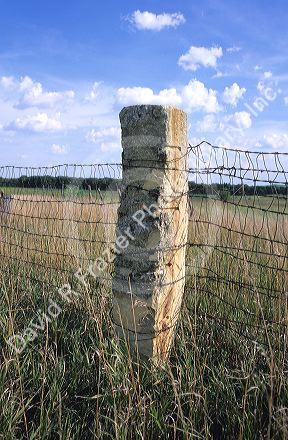 A stone fence post in Lincoln County, Kansas.