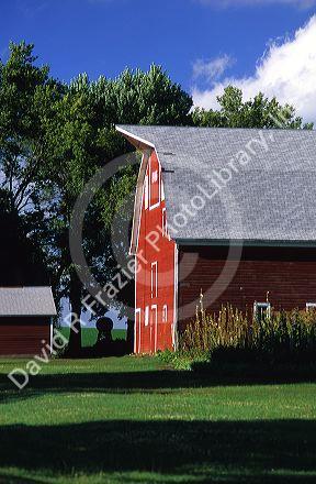 Red barn on a farm near Alton, Iowa (released)