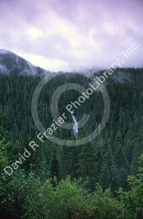 Waterfall in Washington.