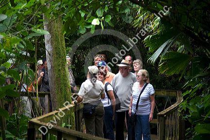 Tourists walk through the Veragua Rainforest Research and Adventure Park near Limon, Costa Rica.