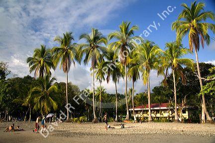 Beach scene at Manuel Antonio National Park in Puntarenas province, Costa Rica.