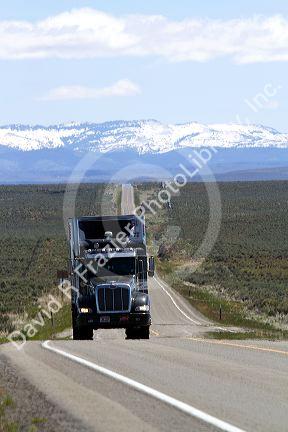 Transport truck traveling on Highway 95 near Jordan Valley, Oregon, USA.