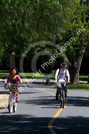 Bike-only paths on the campus of UC Davis, California, USA.