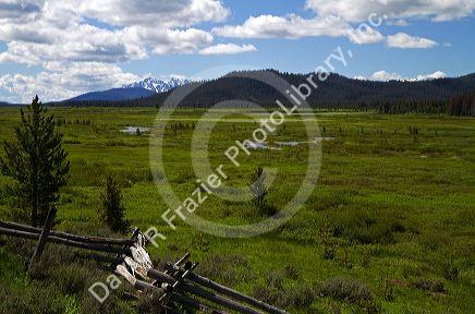 Split rail fencing runs through a meadow near Stanley, Idaho, USA.