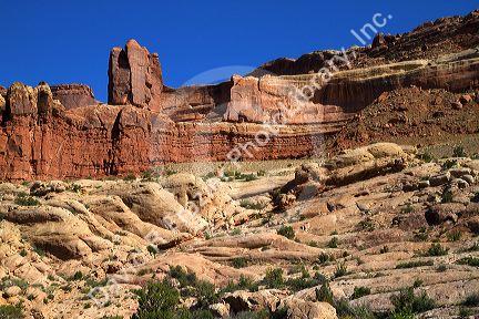 Sandstone rock formations in Arches National Park near Moab, Utah, USA.