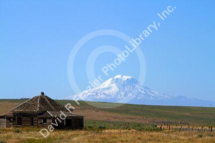 Homestead with Mount Adams in the background near the town of Wasco, Oregon, USA.