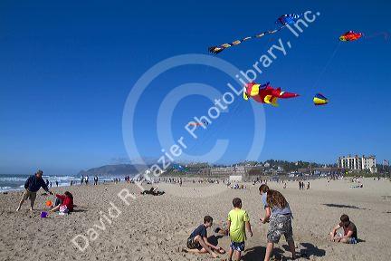 People flying kites along the D River in Lincoln City, Oregon, USA.