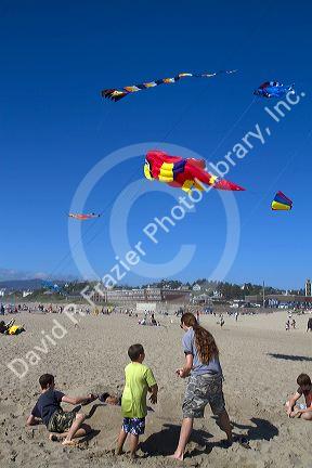 People flying kites along the D River in Lincoln City, Oregon, USA.