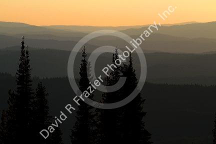 View from the summit of Green Mountain along the historic Magruder Corridor road that devides the Frannk Church-River of No Return Wilderness Area and the Selway-Bitterwoot Wilderness in Idaho, USA.