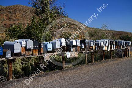 Mailboxes lined up for the delivery of mail in a rural area near Challis, Idaho, USA.