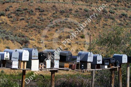 Mailboxes lined up for the delivery of mail in a rural area near Challis, Idaho, USA.