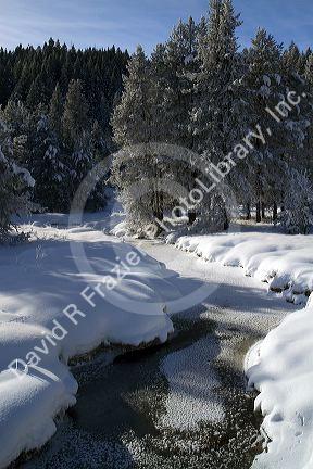 Round Valley Creek during winter in Valley County, Idaho, USA.