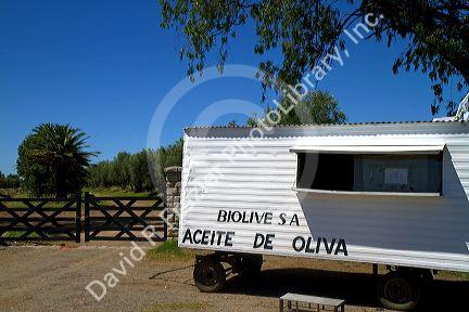 Roadside vendor selling olive oil near Tres Aroyos, Argentina.