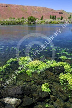 The Snake River at Thousand Springs State Park in the Hagerman Valley, Idaho, USA.