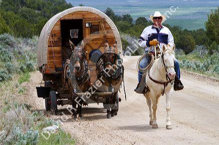 Covered wagon being pulled by mules at the City of Rocks National Reserve and state park in Cassia County, Idaho, USA.