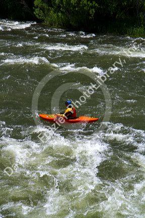 Kayaking the Payette River in Idaho, USA. 