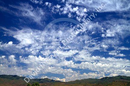 Cirrus clouds in the blue sky.