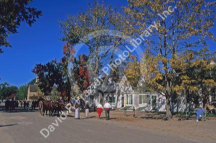 Oxen and cart on Duke of Gloucester Street in Colonial Williamsburg in Virginia.
