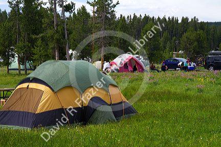 Tent camping in Yellowstone National Park, Wyoming, USA.