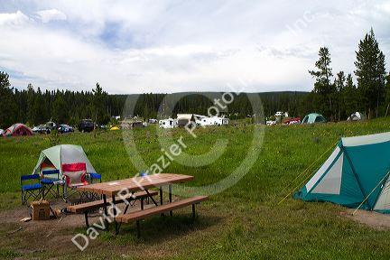 Tent camping in Yellowstone National Park, Wyoming, USA.