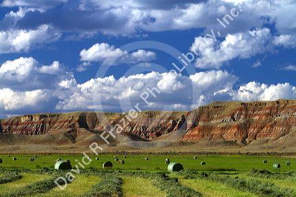 Red rock cliffs and newly harvested alfalfa hay near Dubois, Wyoming, USA.