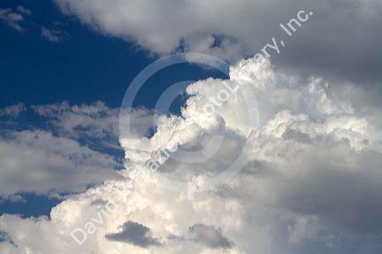 Storm clouds form in the sky.