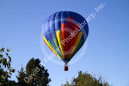 Hot air balloon landing in a residential area of Boise, Idaho, USA.