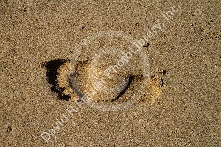 Footprint in the sand at Polihale Beach and State Park located on the western side of the island of Kauai, Hawaii, USA.